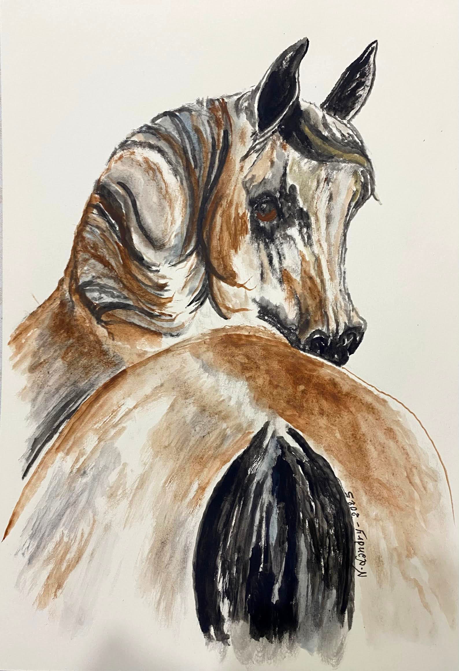 Arabian Horse Portrait