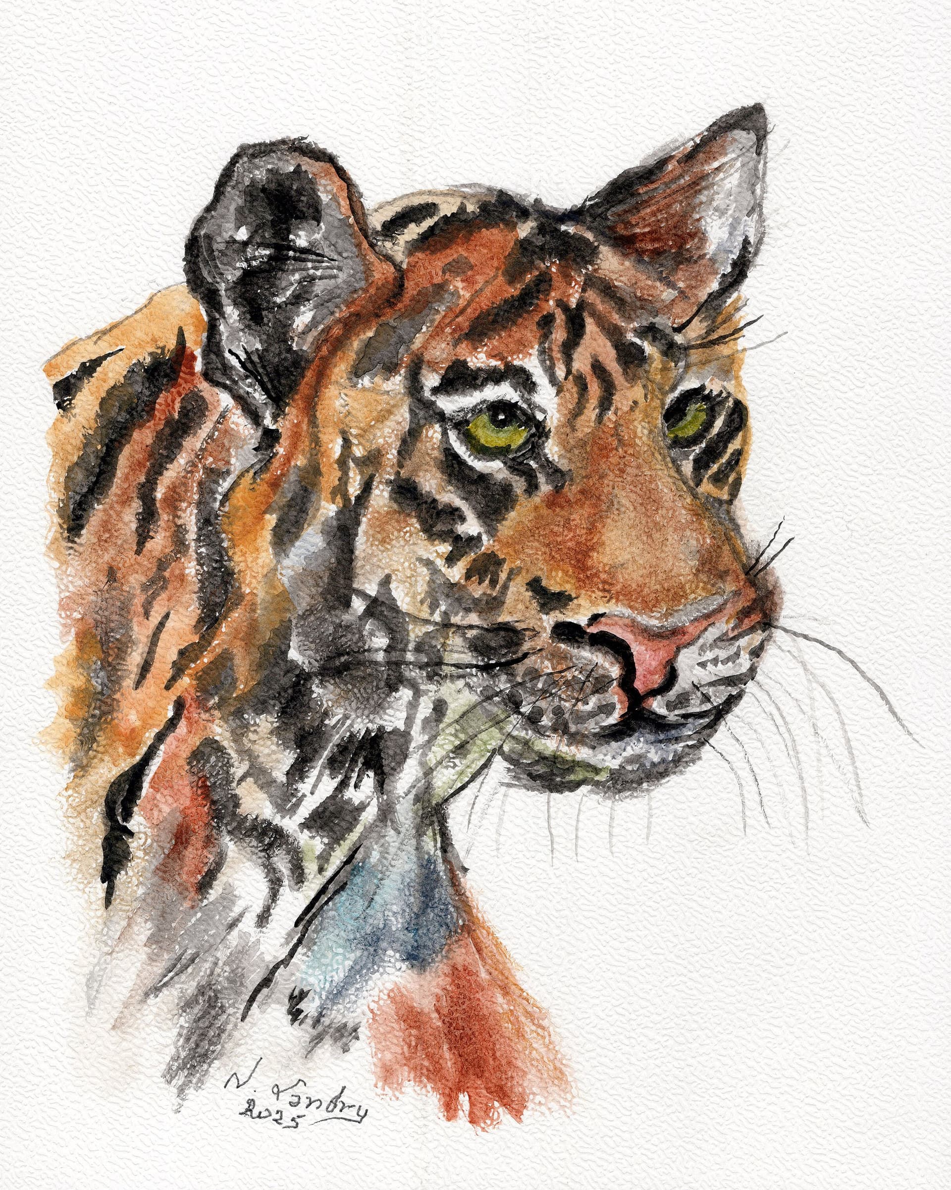 Tiger Portrait