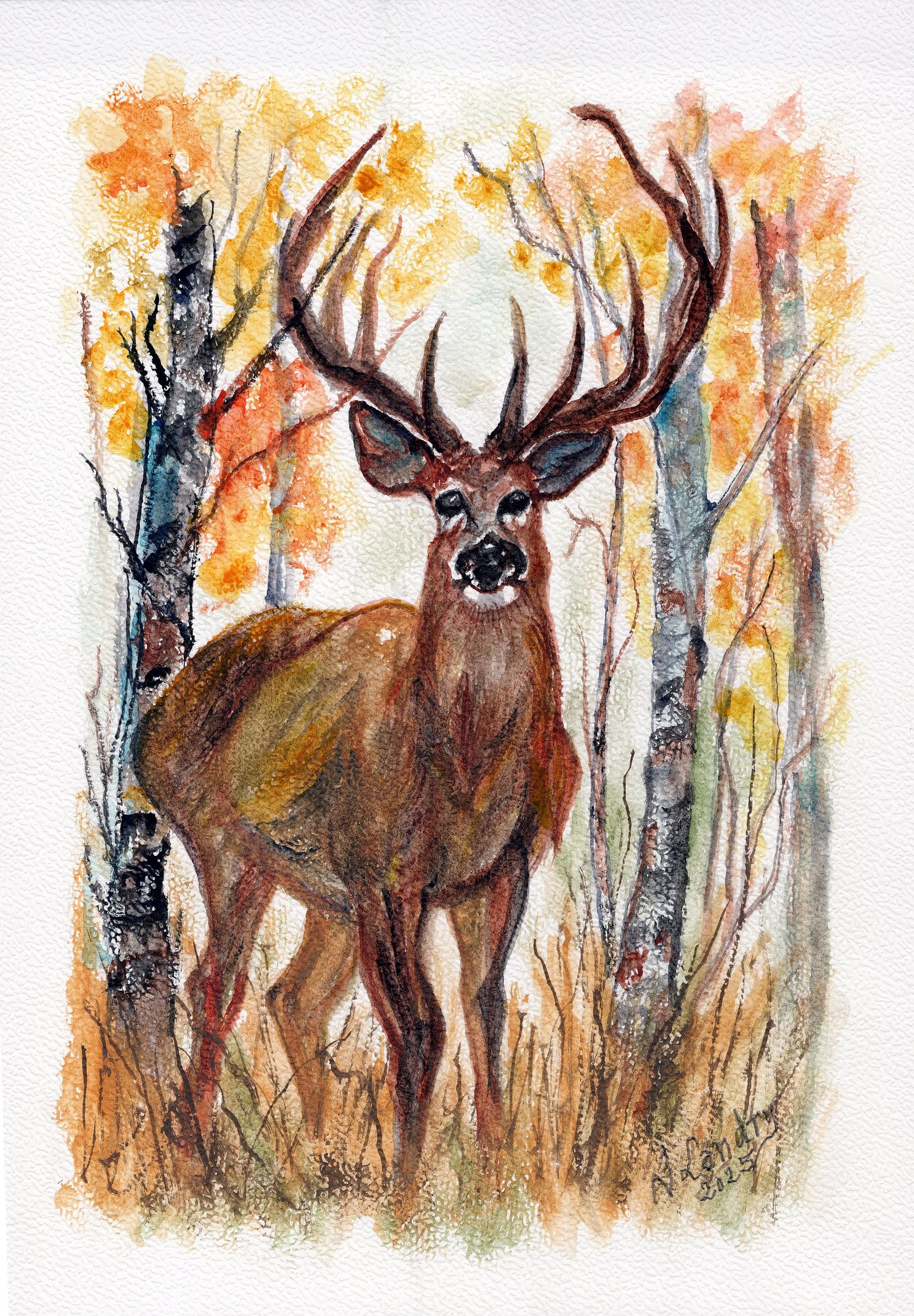 Autumn Forest Deer