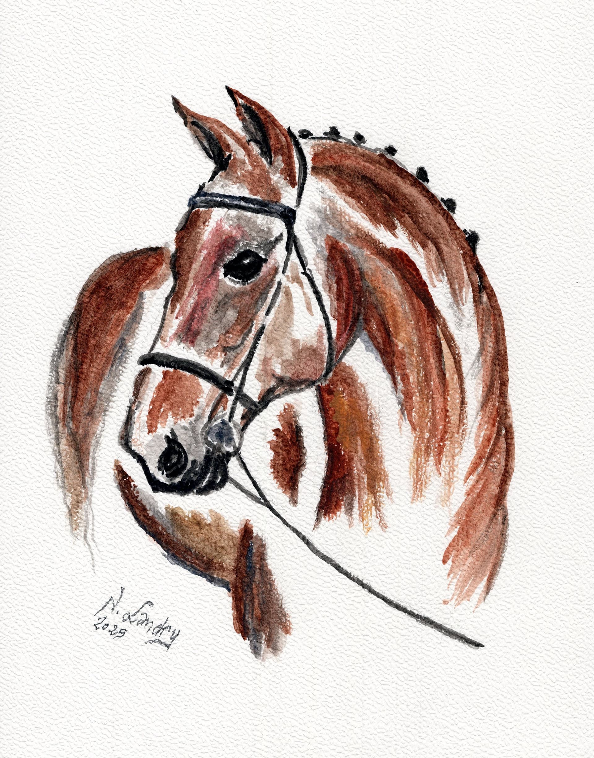 Brown Horse with Bridle Portrait