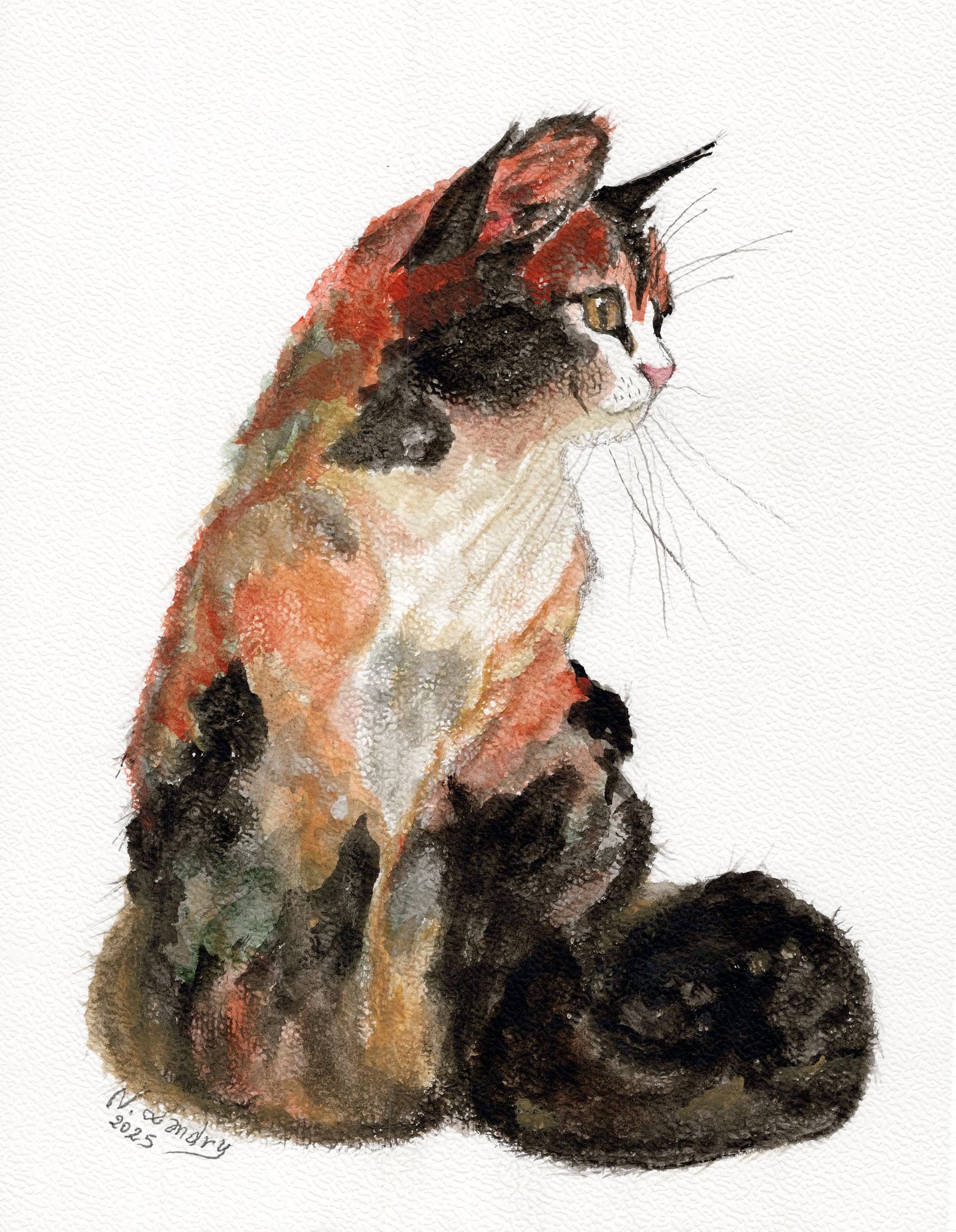 Calico Cat Sitting Portrait