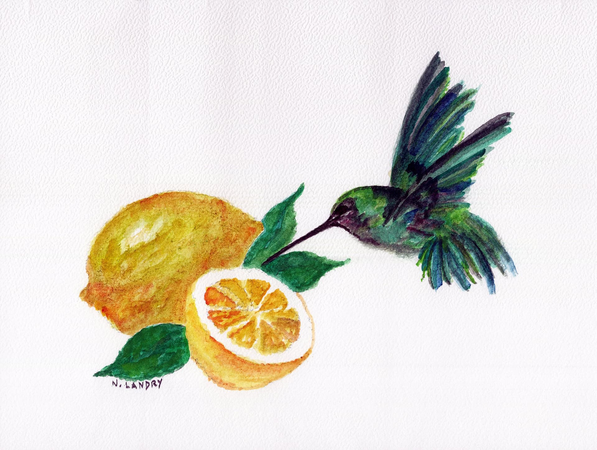 Lemon with Hummingbird