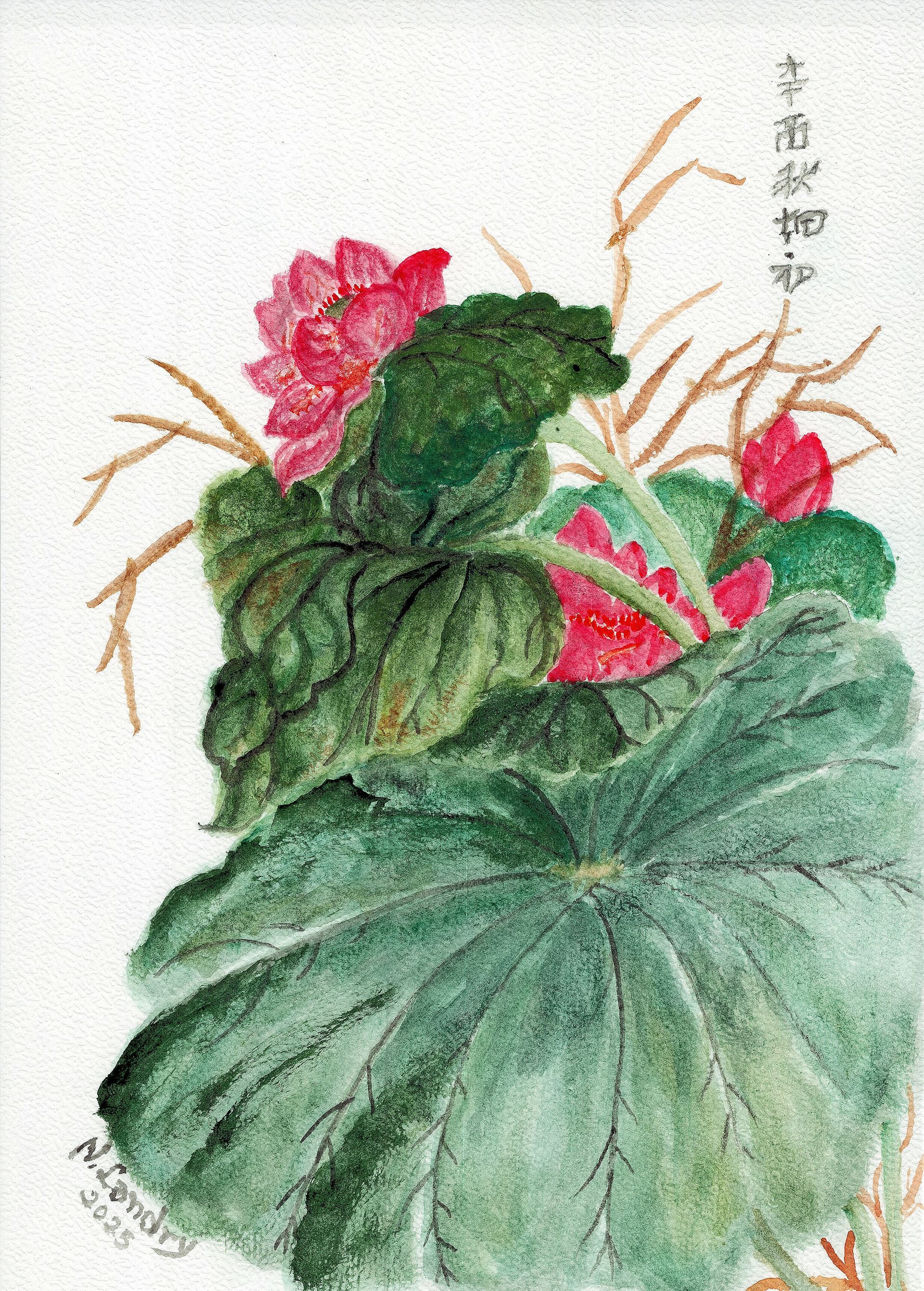 Lotus Flowers Vintage