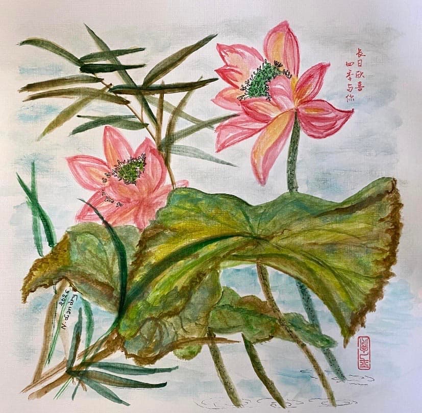Fleurs de lotus roses et feuilles