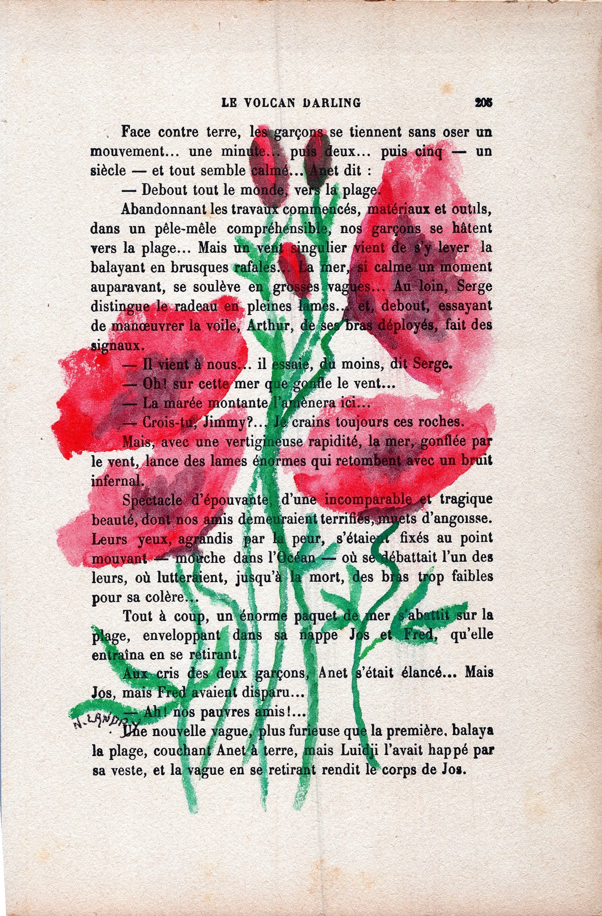 Pink Wildflowers on Book Page
