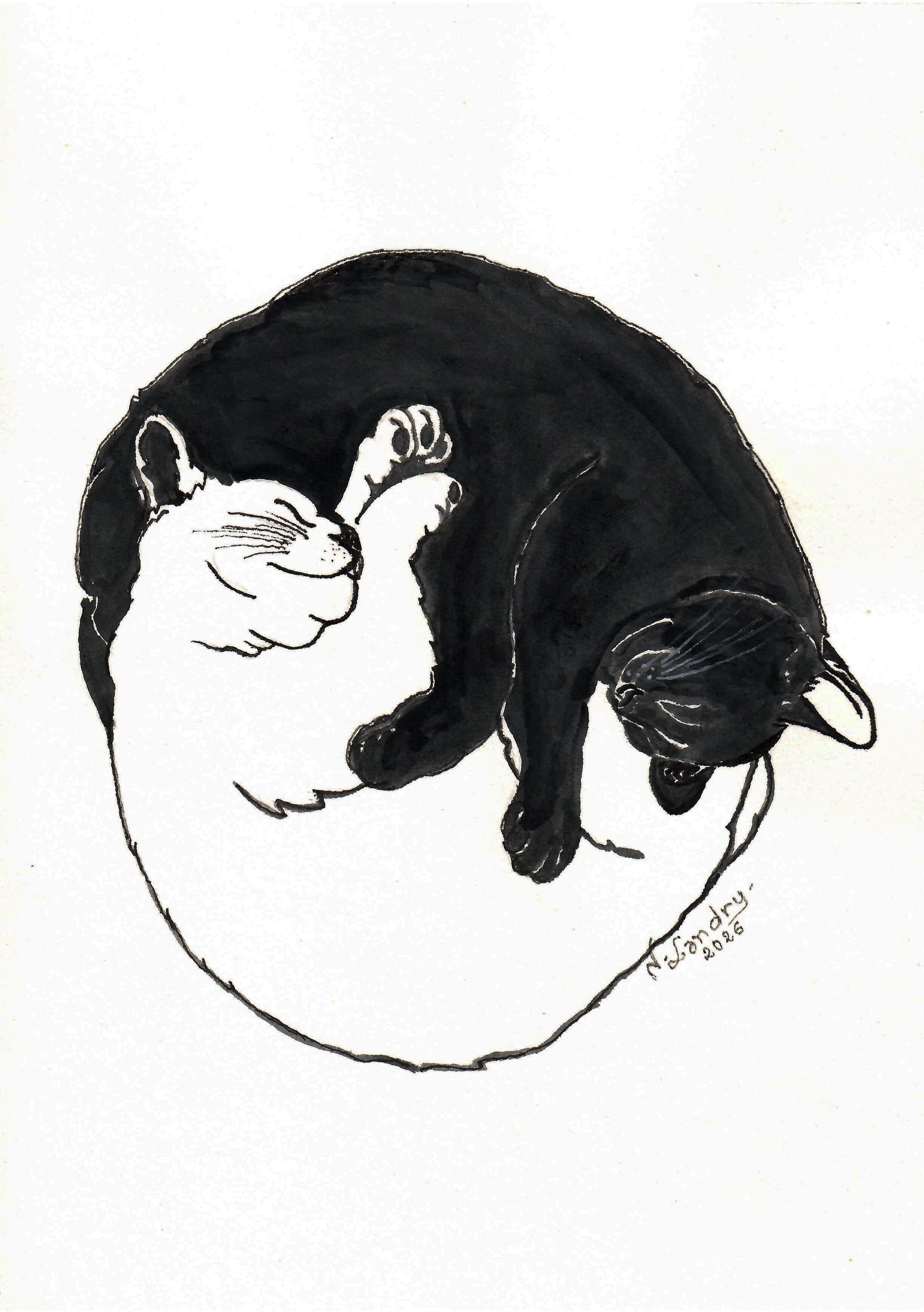 Yin Yang Cat