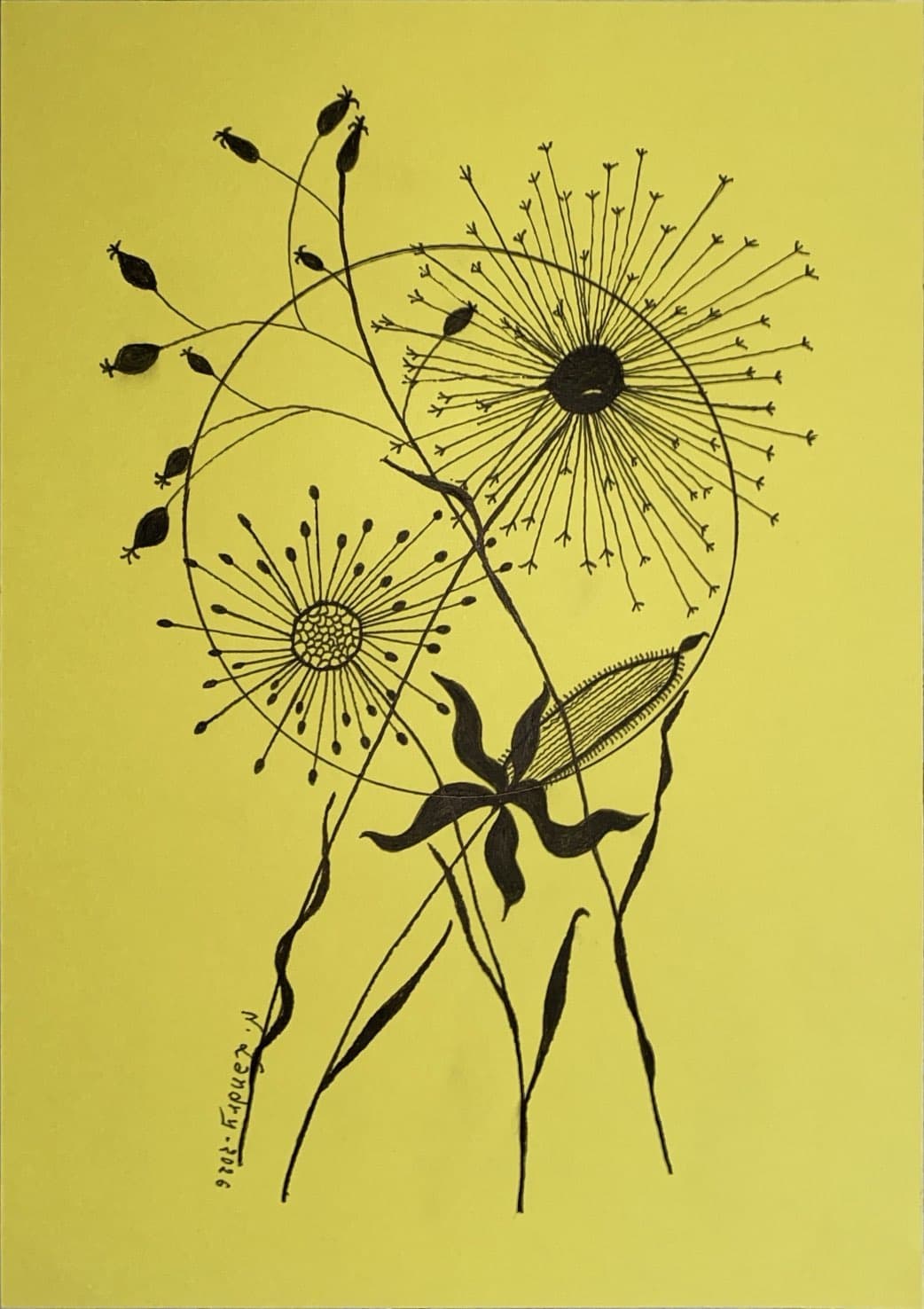 Seed Heads on Yellow