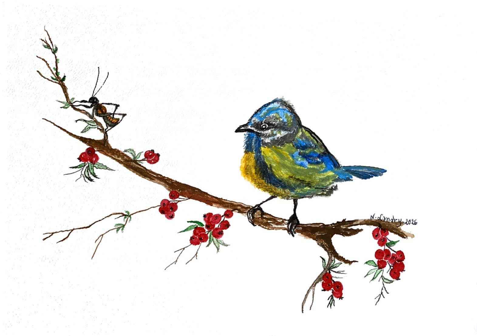 Blue Bird on a Red Berry Branch