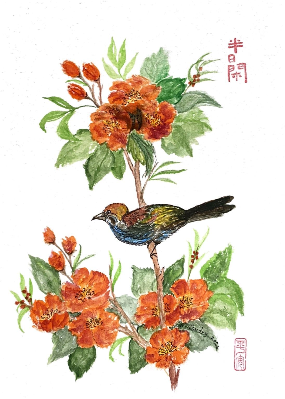 Colorful Bird on an Orange Flowering Branch