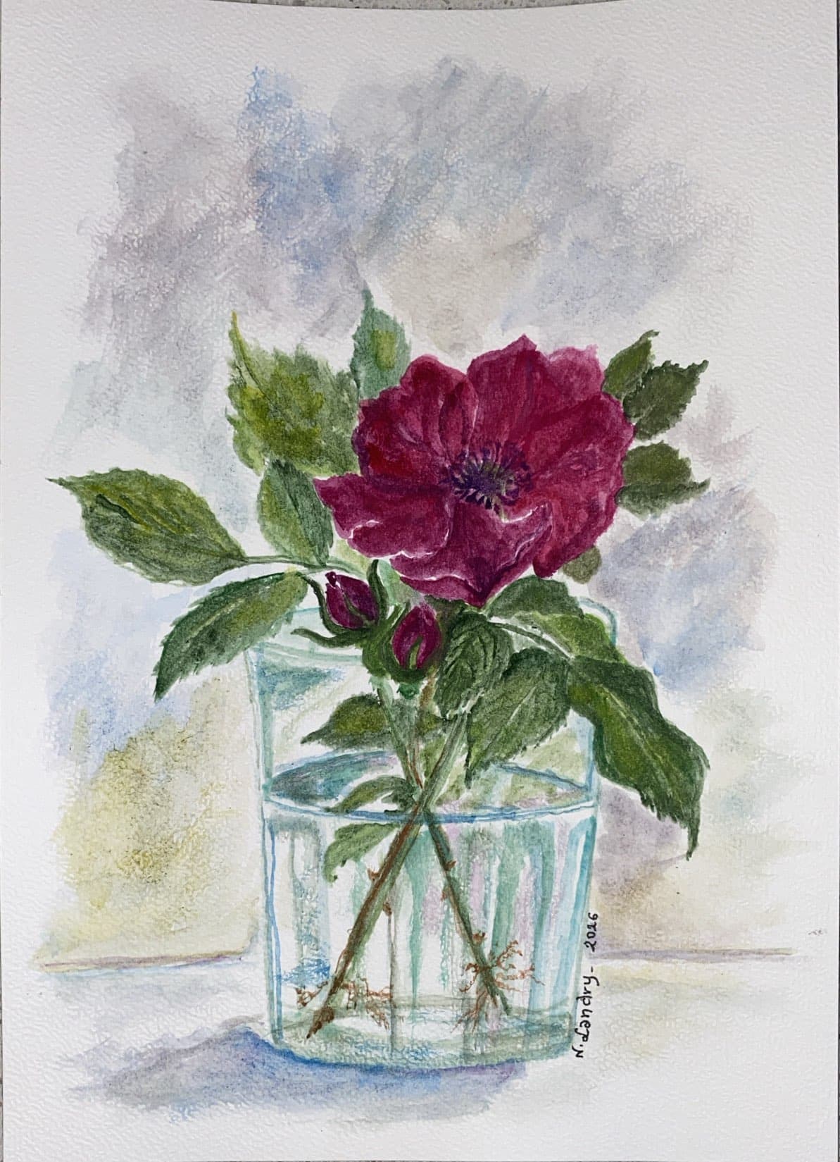 Deep Pink Rose in a Glass