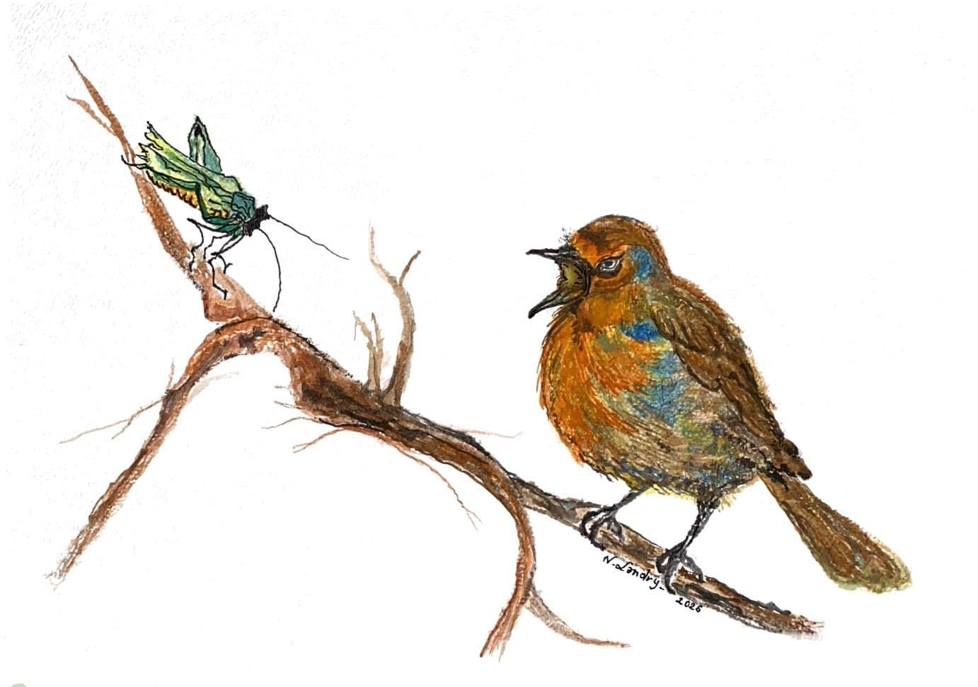 Bird Facing a Grasshopper