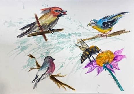 Three Birds with Bee